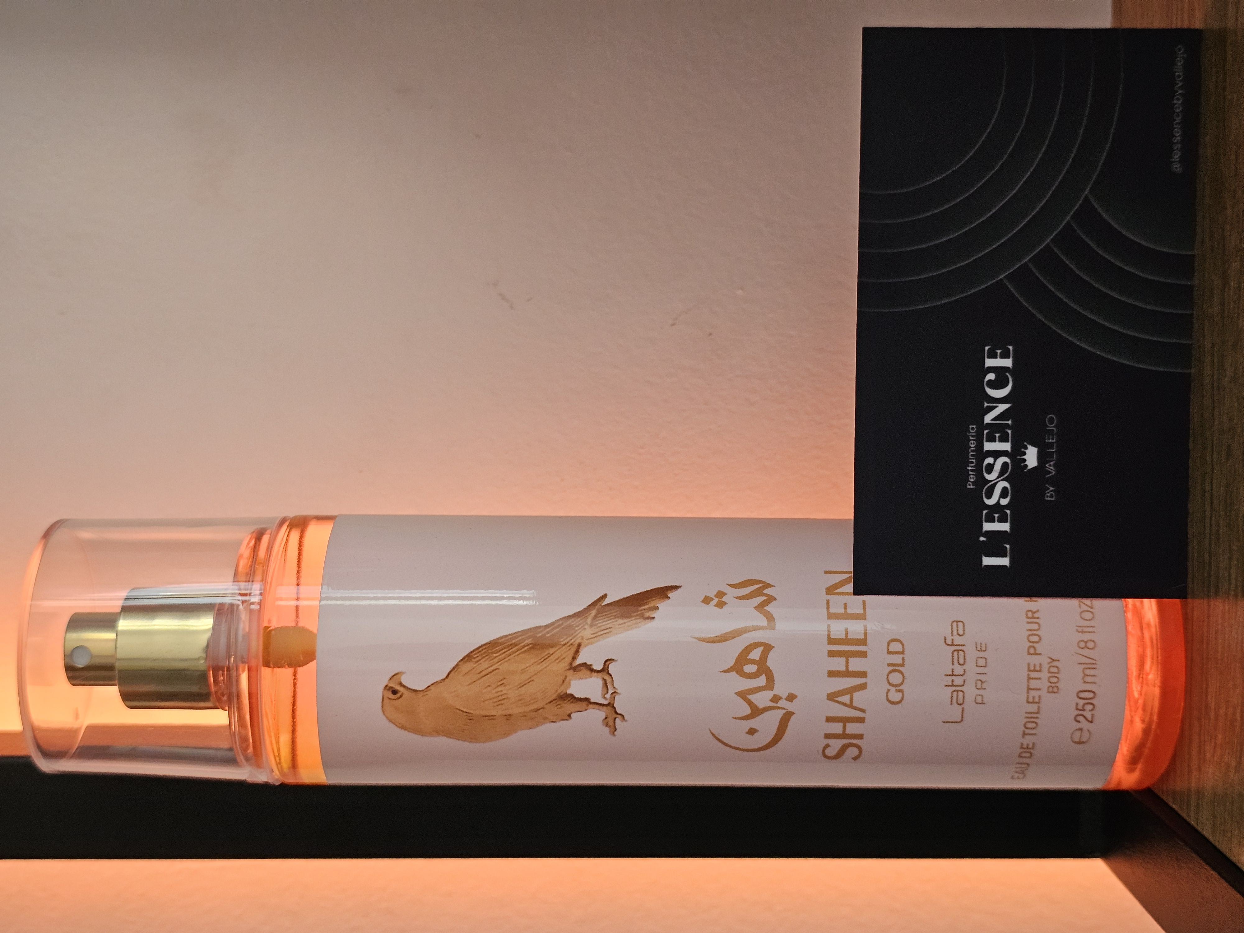 Shaheen Gold | SPLASH