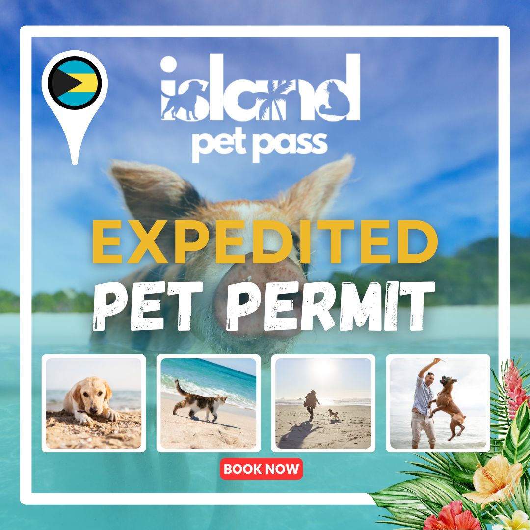 Expedited Pet Permit Package