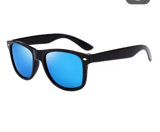 Classic Black Sunglasses