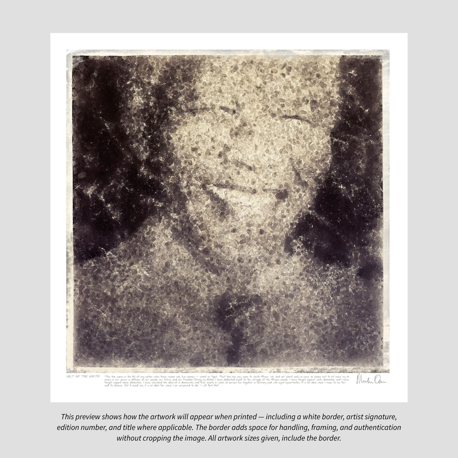 Salt of the Earth | Nelson Mandela Portrait