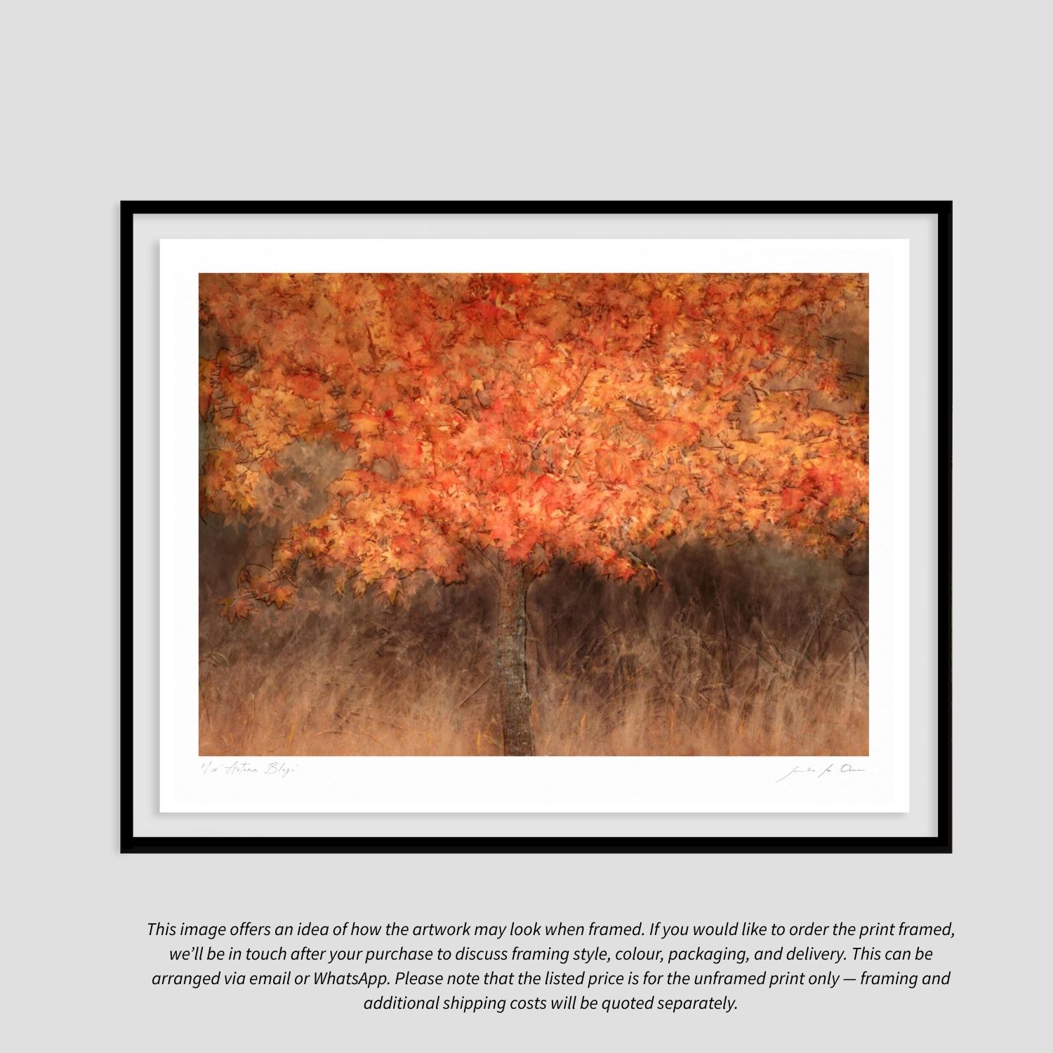 Autumn Blaze