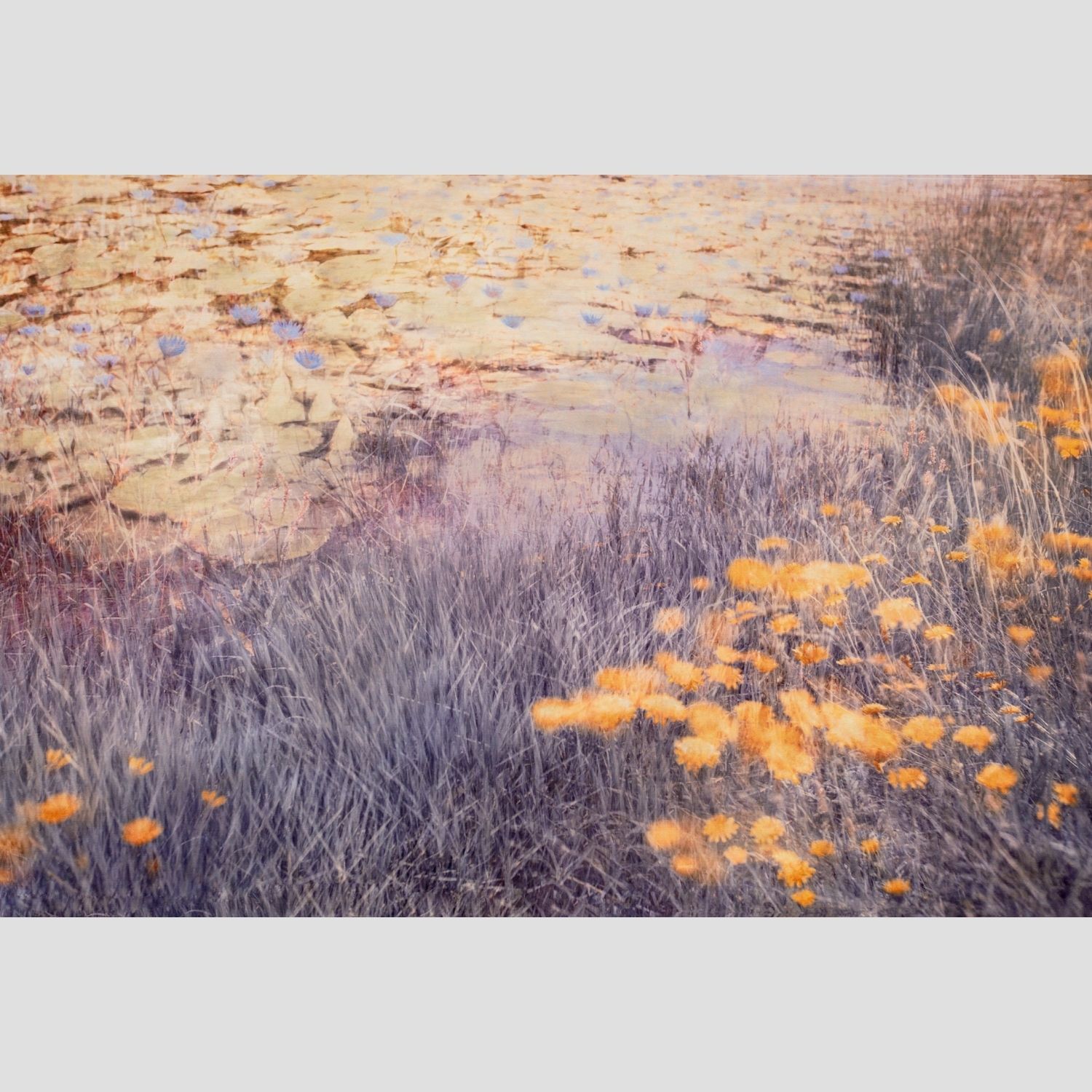 Harmony in Bloom
