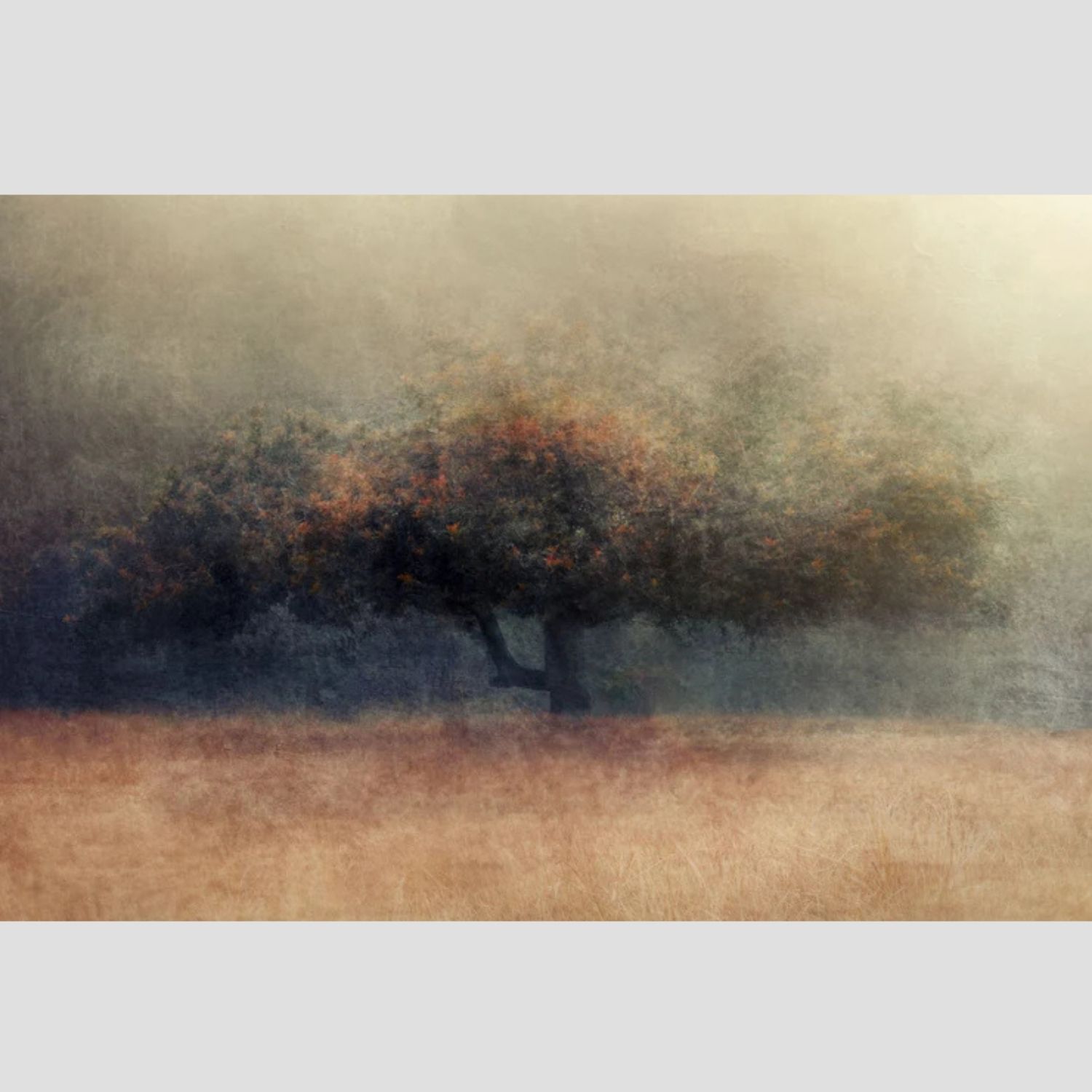 Hollow Whisper