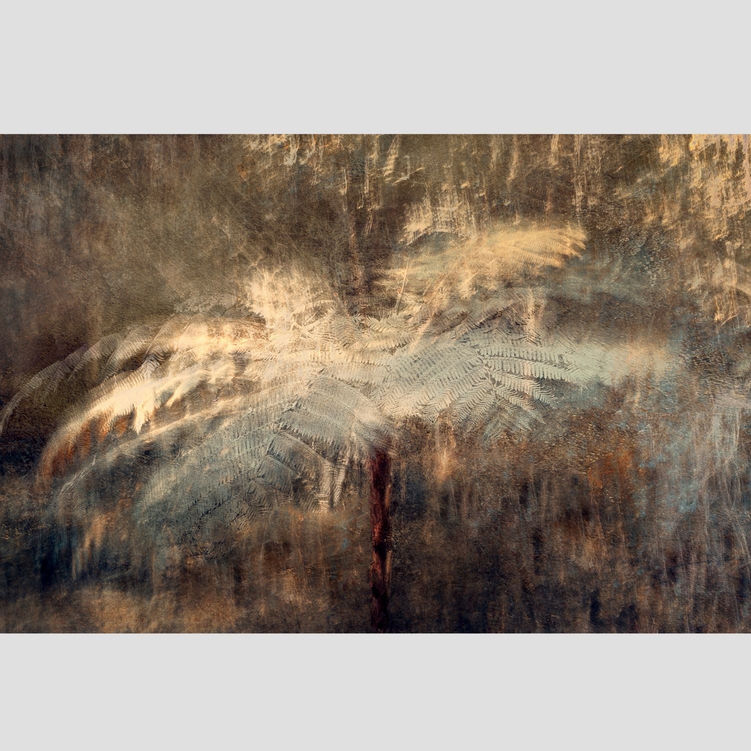 Leaves of Midnight