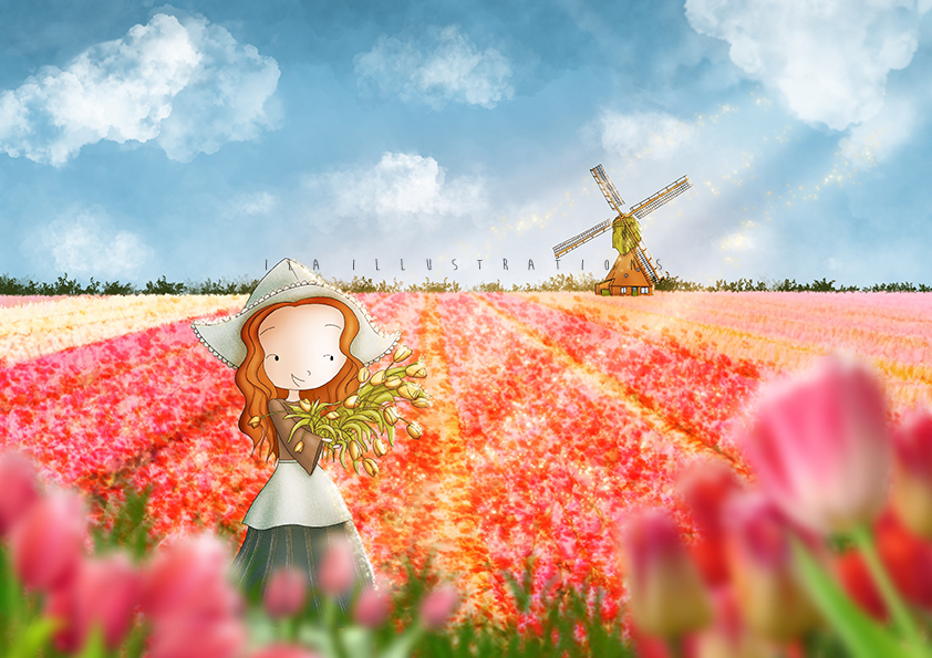 150 - Tulips fields