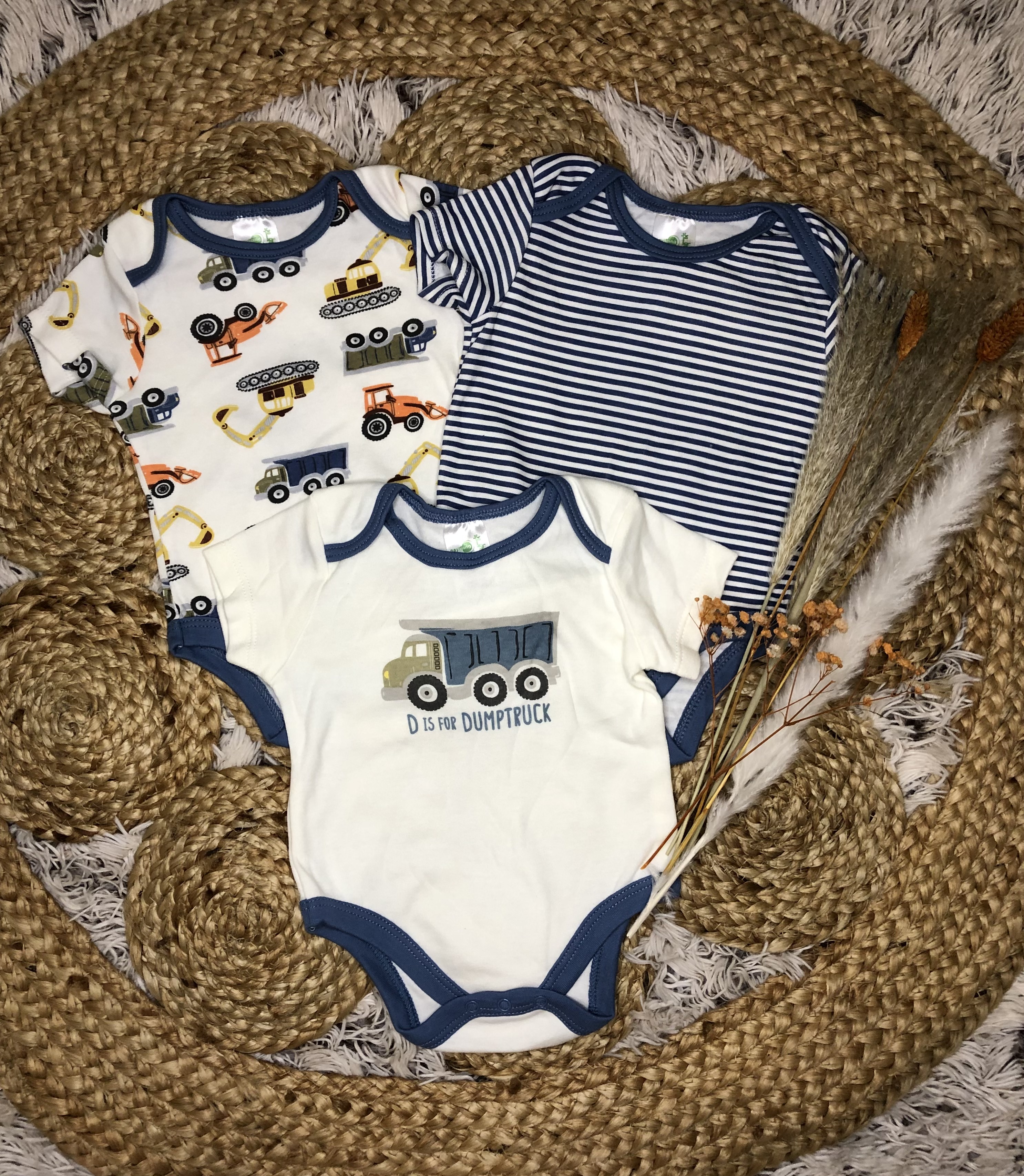 Lot de bodies camion 