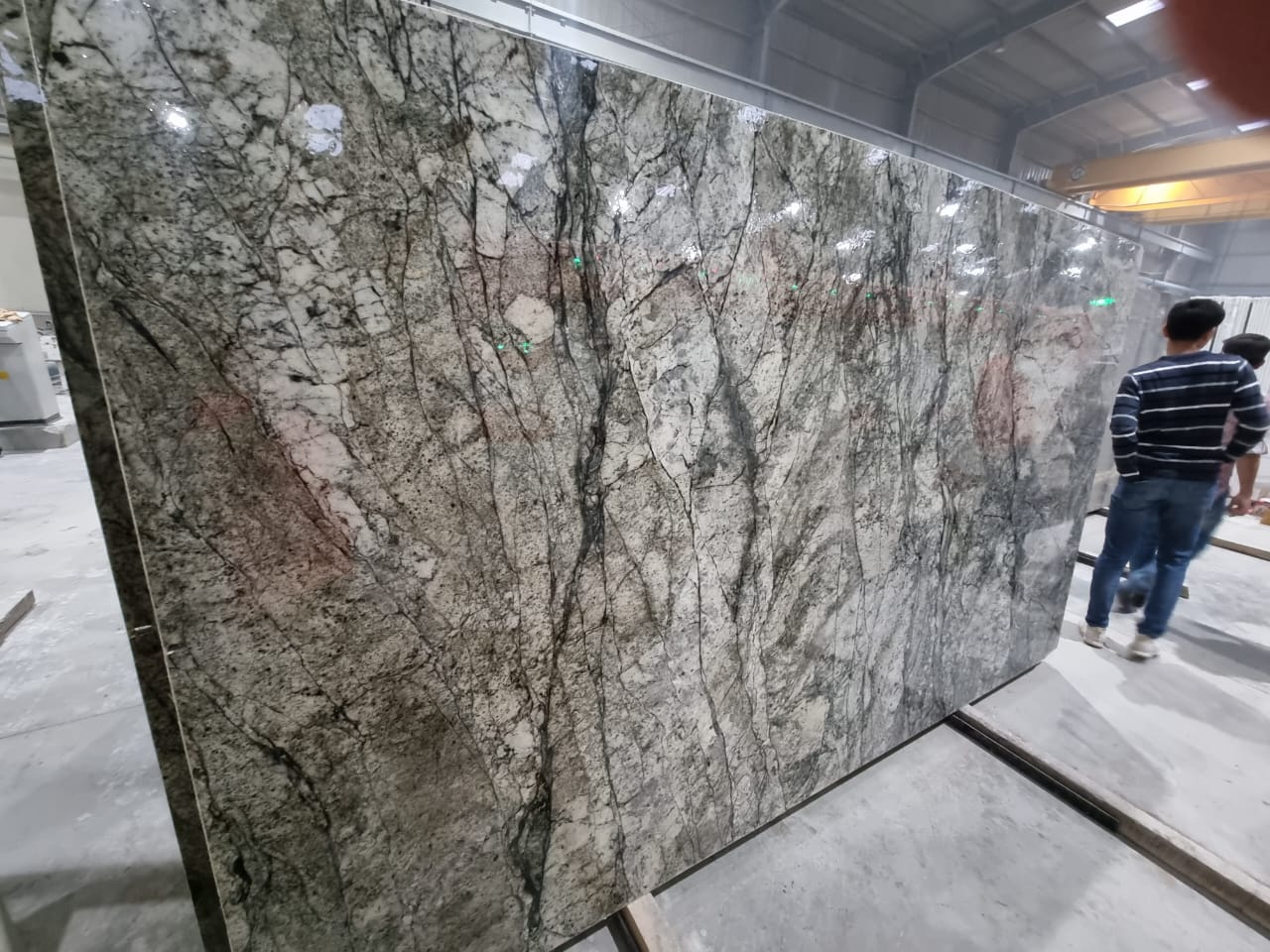 Forest Vein Quartzite