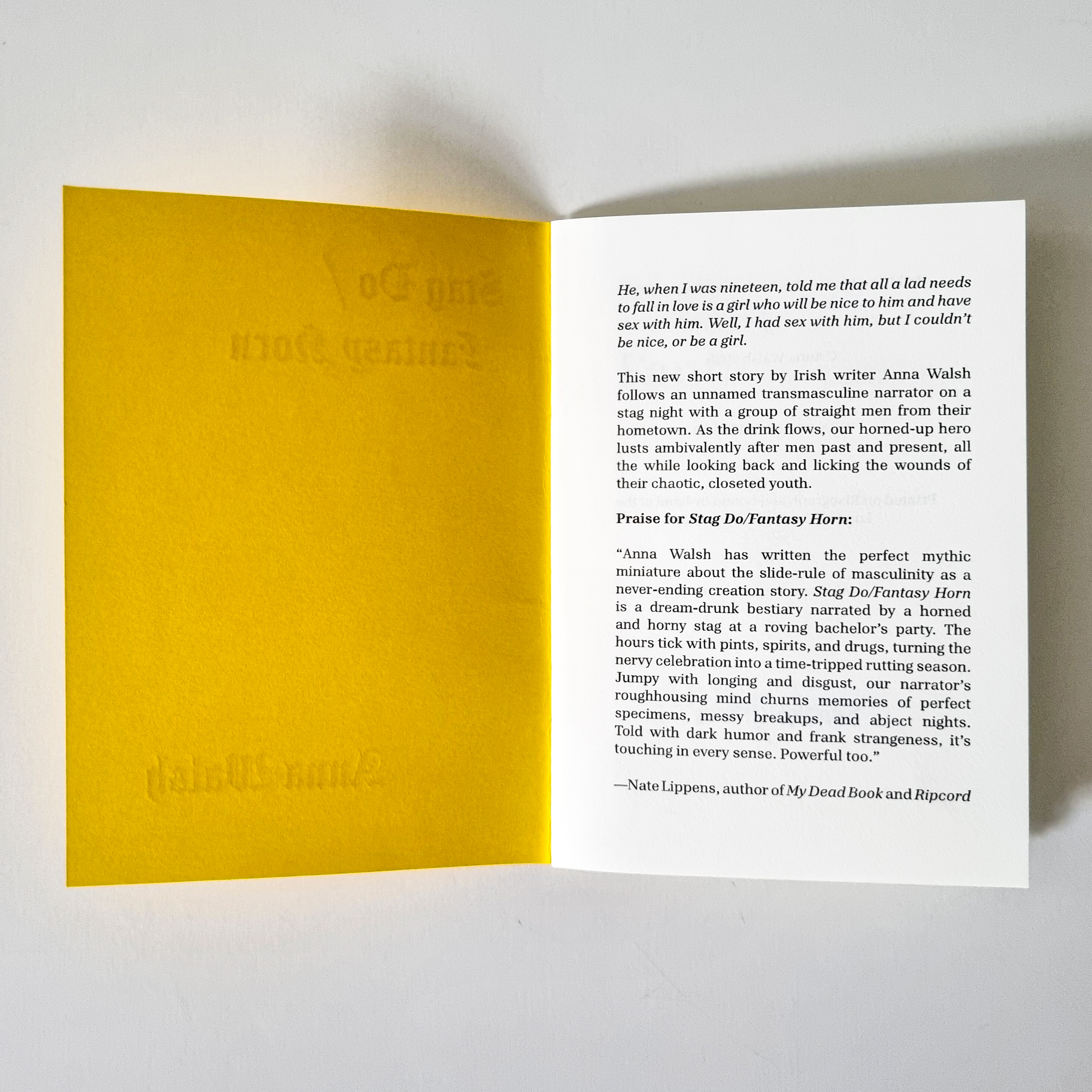 Stag Do/Fantasy Horn