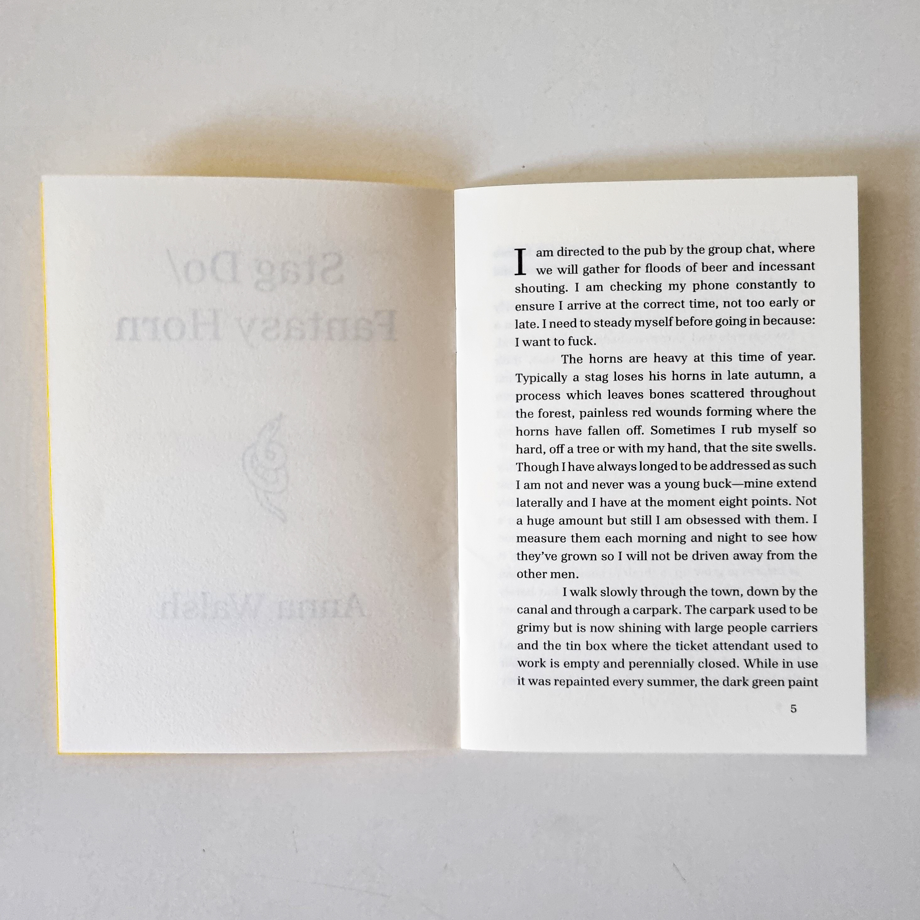 Stag Do/Fantasy Horn