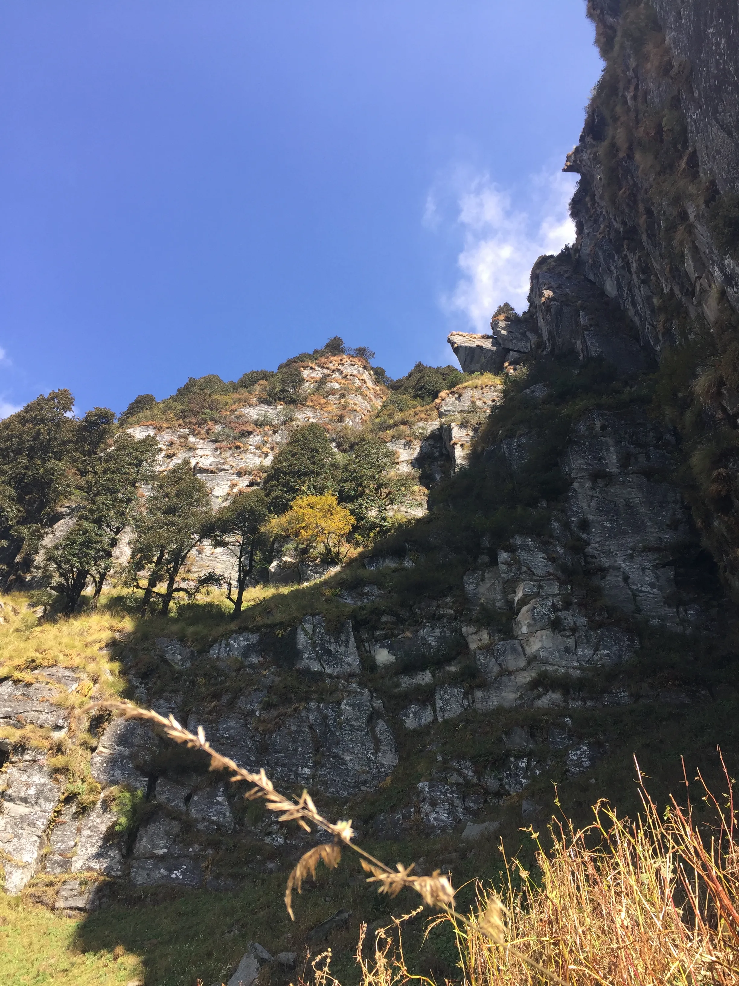 ELEPHANT PUR CAVE TREK