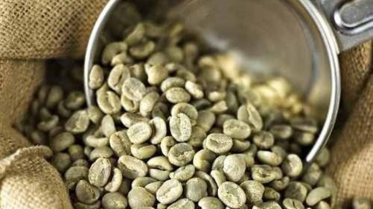 CAFE VERDE