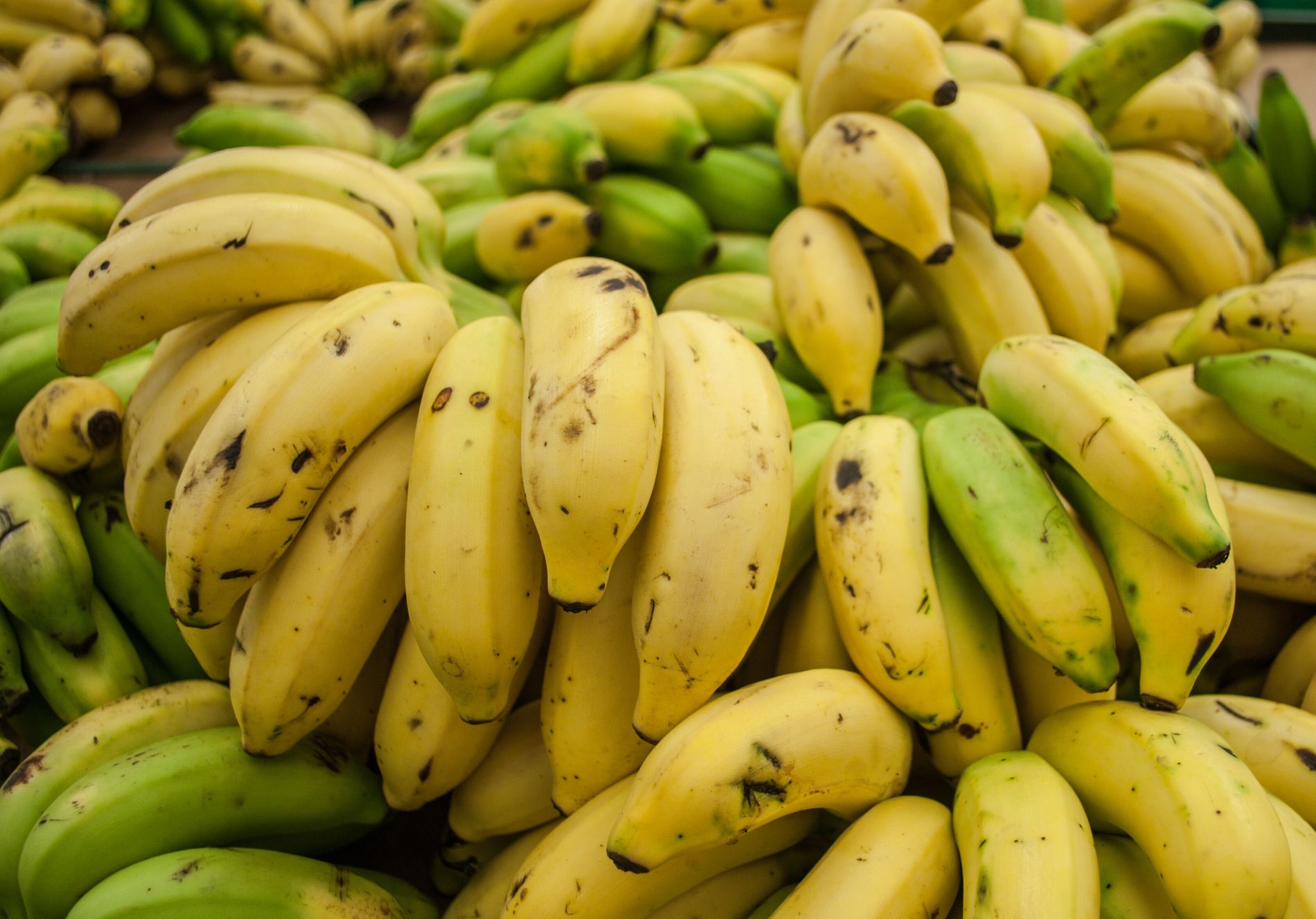 BANANO