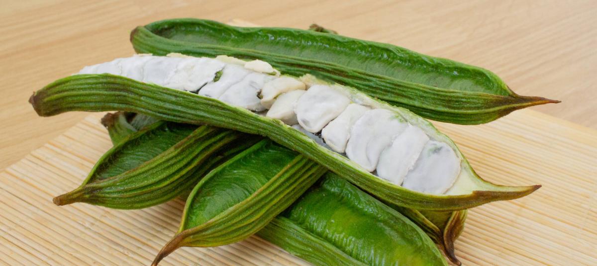 GUAMA