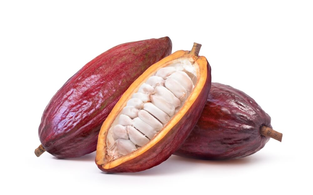 CACAO TRINITARIO