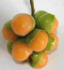 MAMONCILO