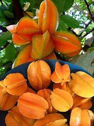 CARAMBOLA