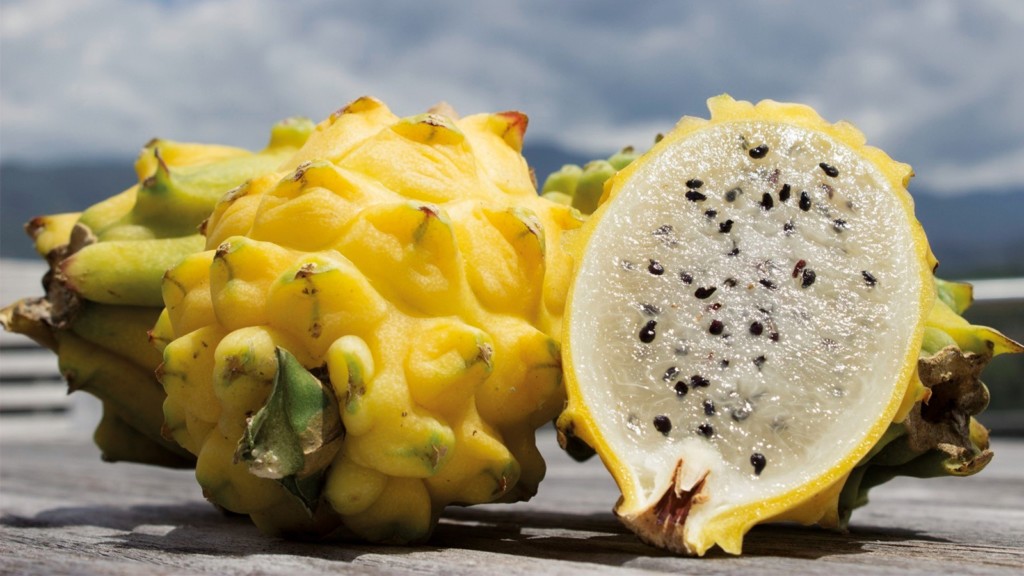 PITAHAYA AMARILLA