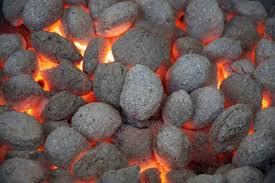 BRIQUETAS DE LIGNITO O CARBÓN MINERAL