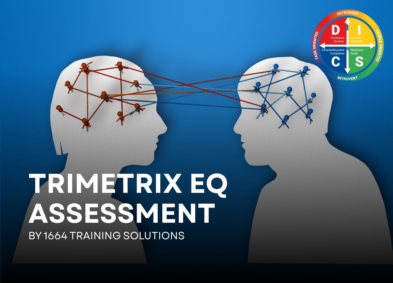 TriMetrixEQ - DISC & Driving Forces Assessment + EQ Assessment + Personalised Debrief