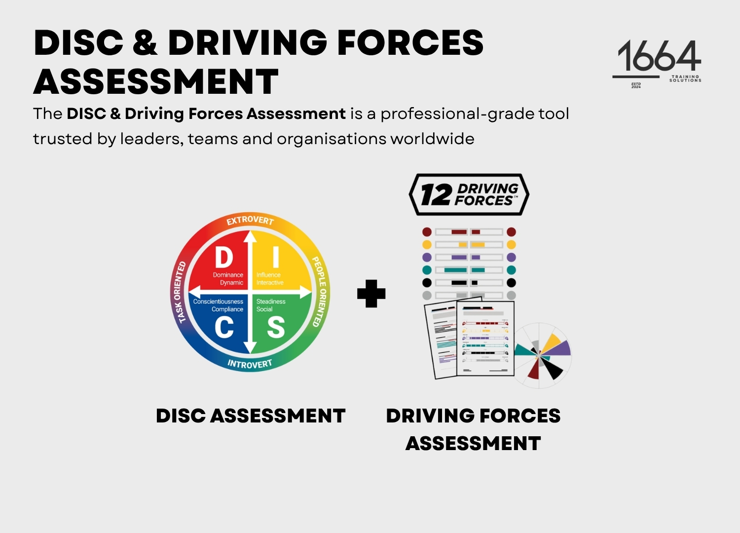 DISC & Driving Forces Assessment + Personalised Debrief