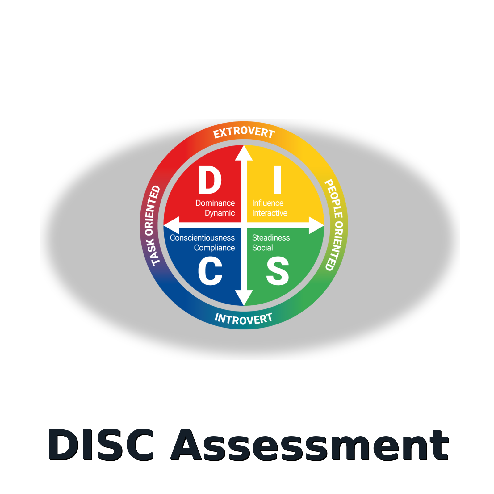 DISC & Driving Forces Assessment + Personalised Debrief