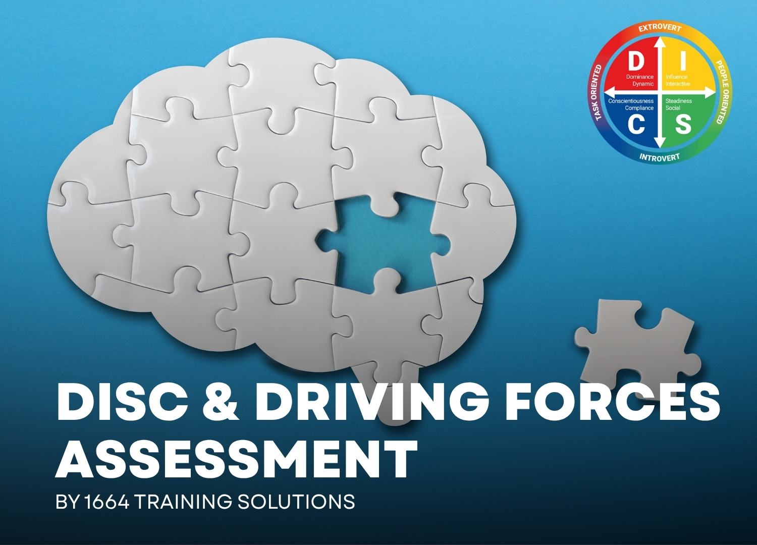 DISC & Driving Forces Assessment + Personalised Debrief