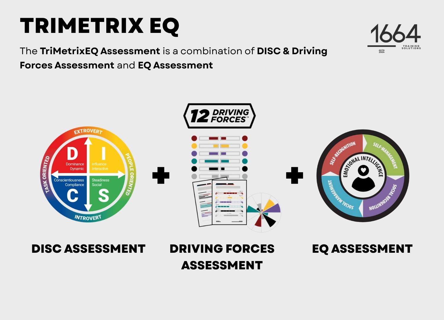 TriMetrixEQ - DISC & Driving Forces Assessment + EQ Assessment + Personalised Debrief