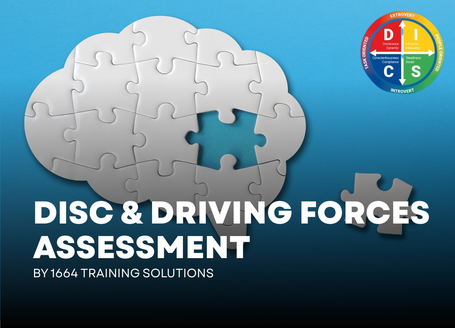 DISC & Driving Forces Assessment + Personalised Debrief