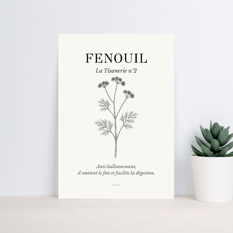 Poster La Tisanerie 2 - Fenouil