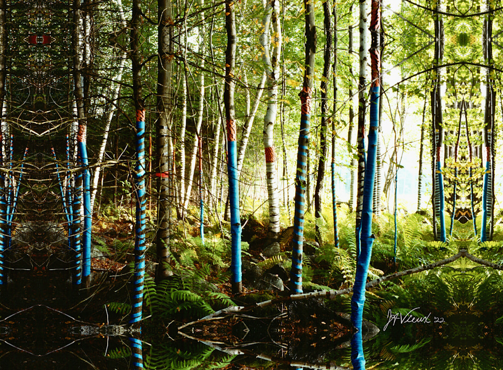 Blue Forest