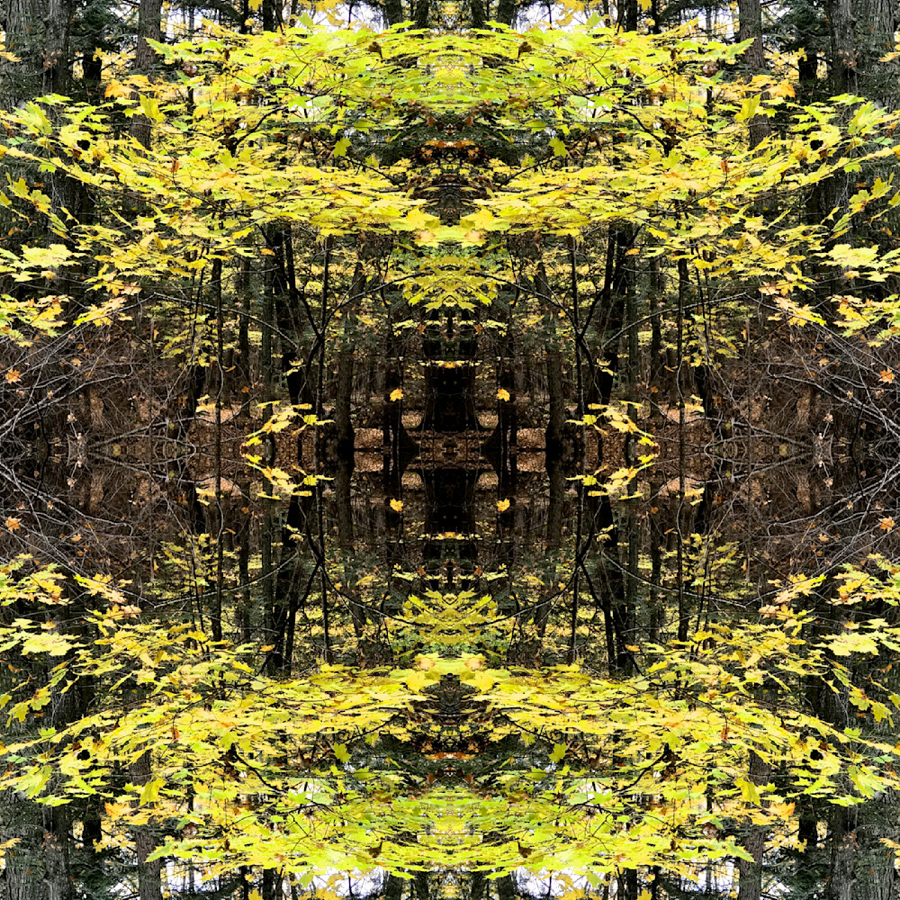 Clarion Call - Opening 1