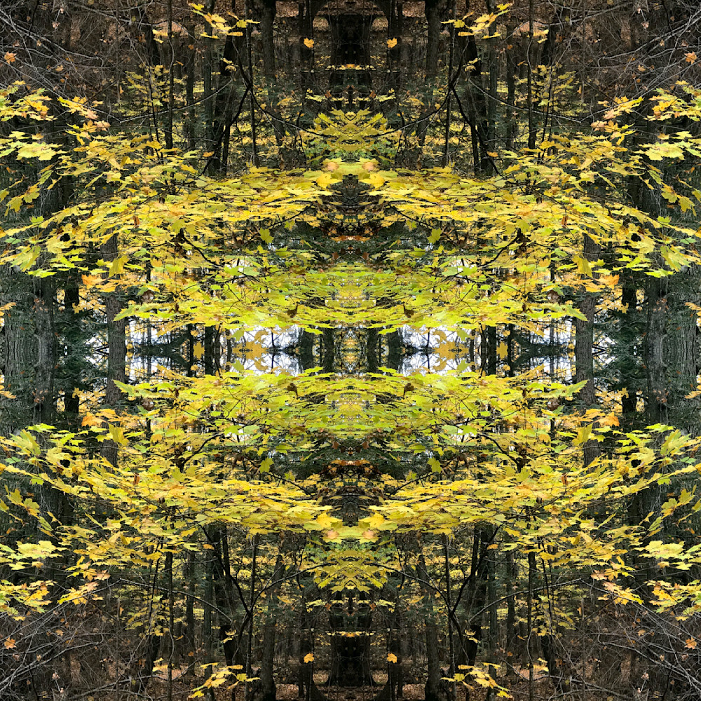 Clarion Call - Opening 2