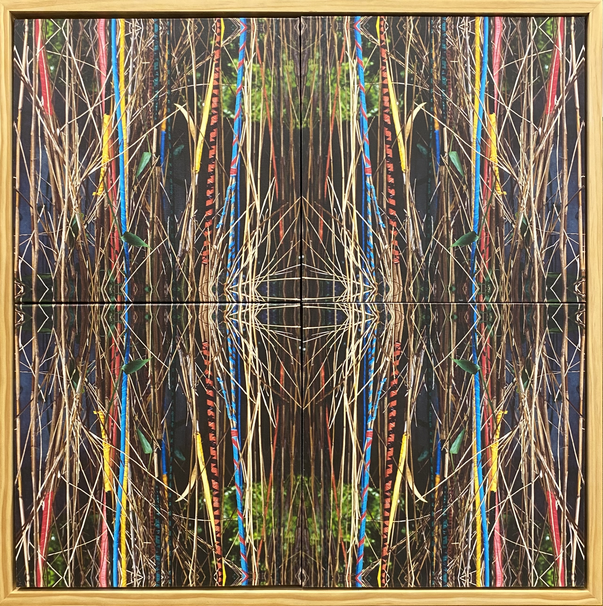 Finding Nature's Voice