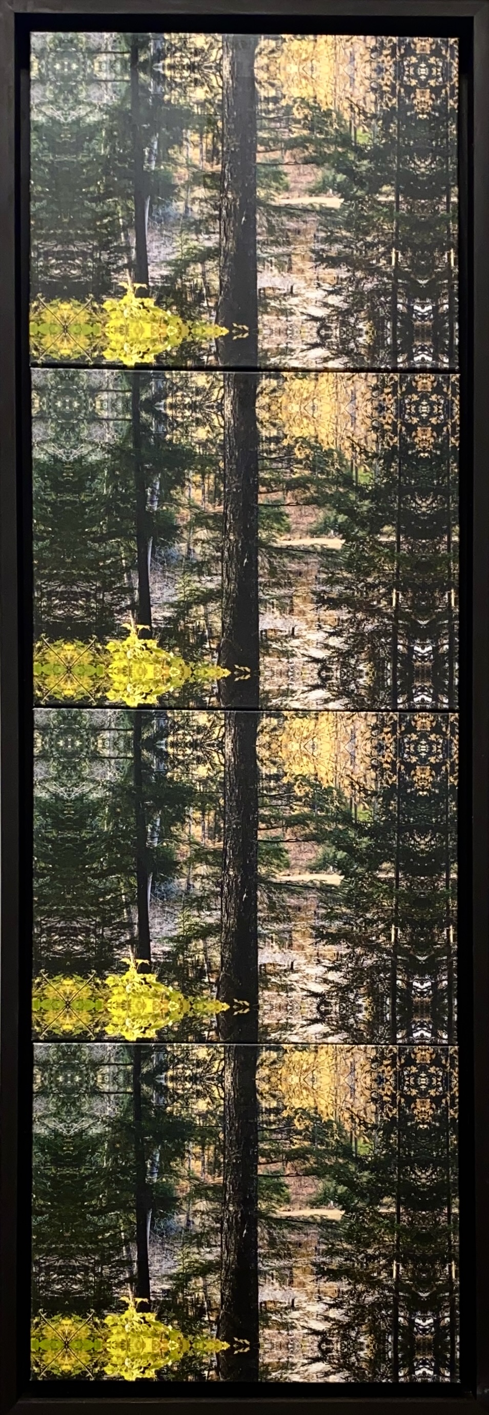 North Forest–Vertical Perspective