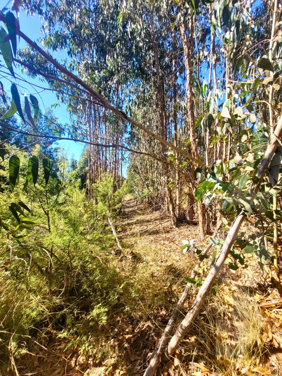 Parcela en Rocas de Santo Domingo