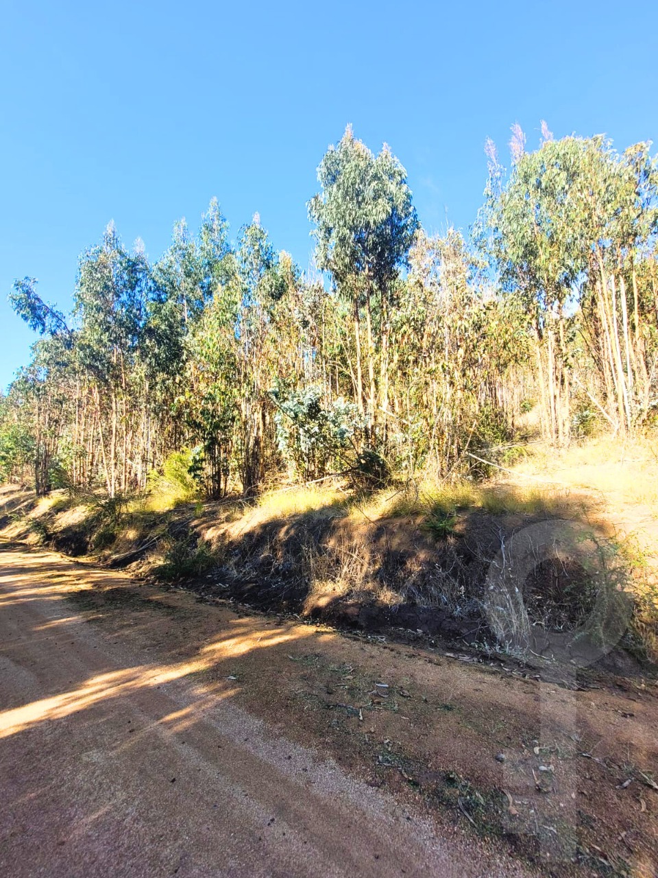 Parcela en Rocas de Santo Domingo