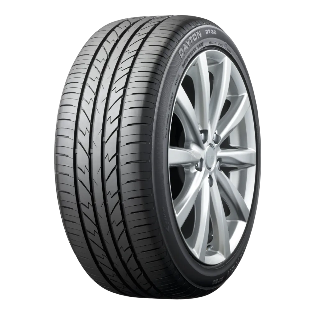 Dayton DT30  195/65 R15