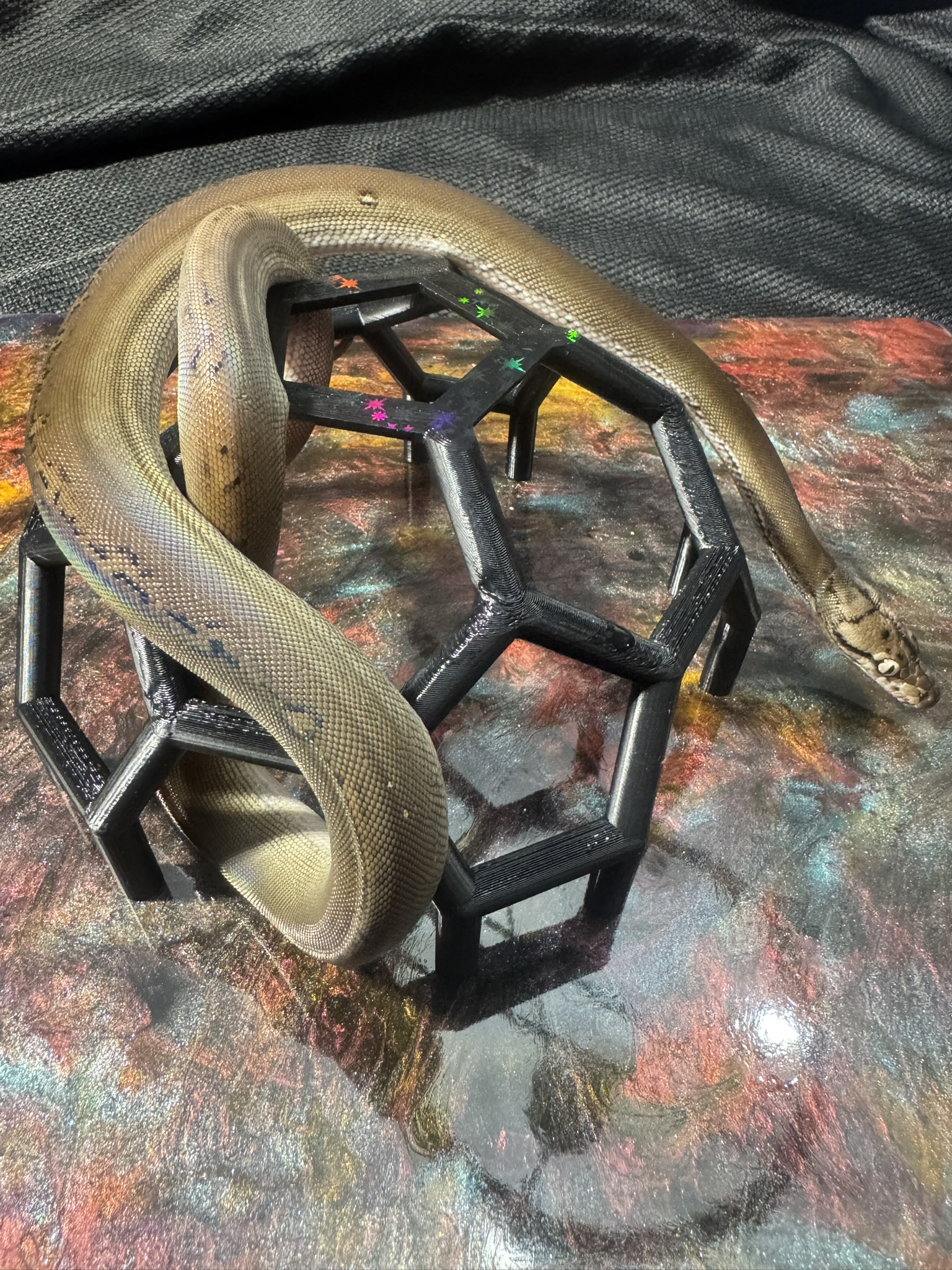 Anery Goldenchild Sunfire 022603 