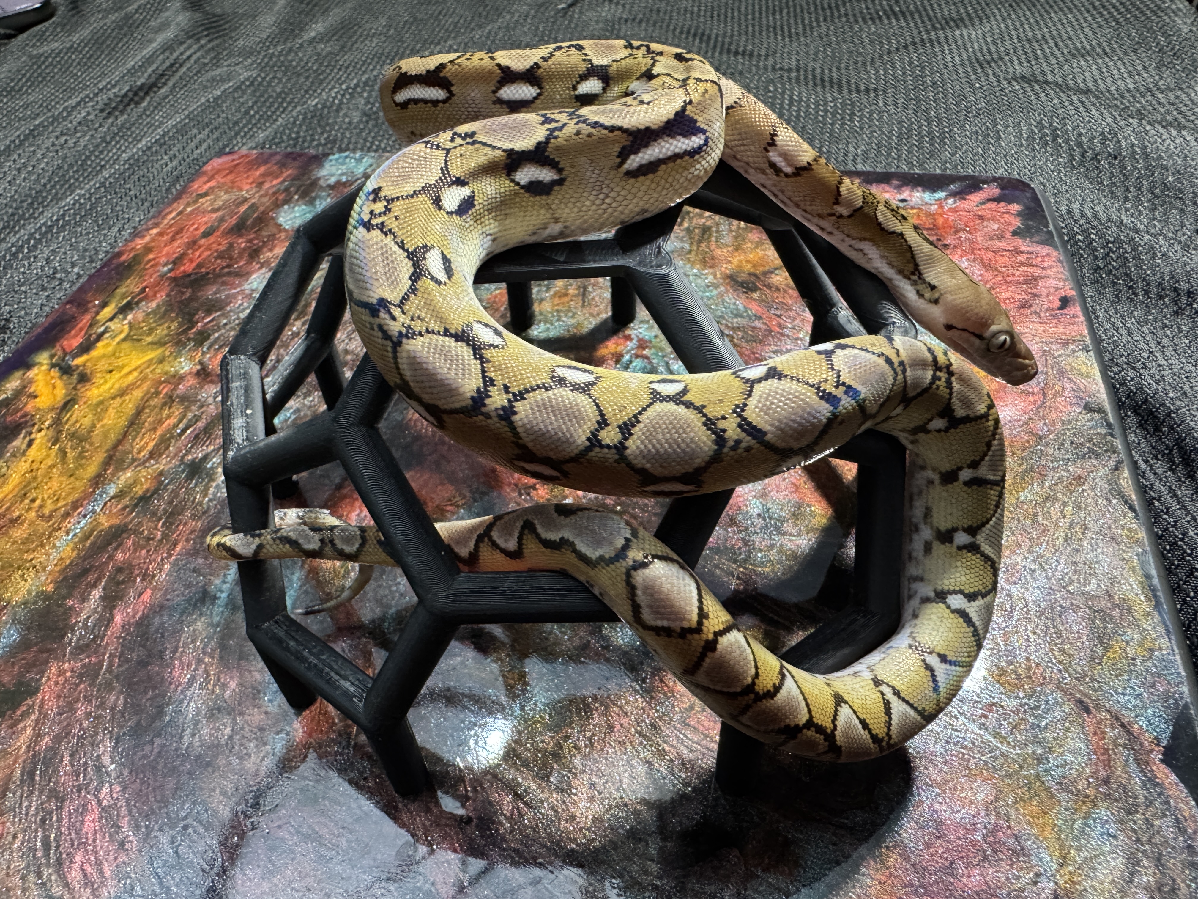 Anery Sunfire Platinum 022604