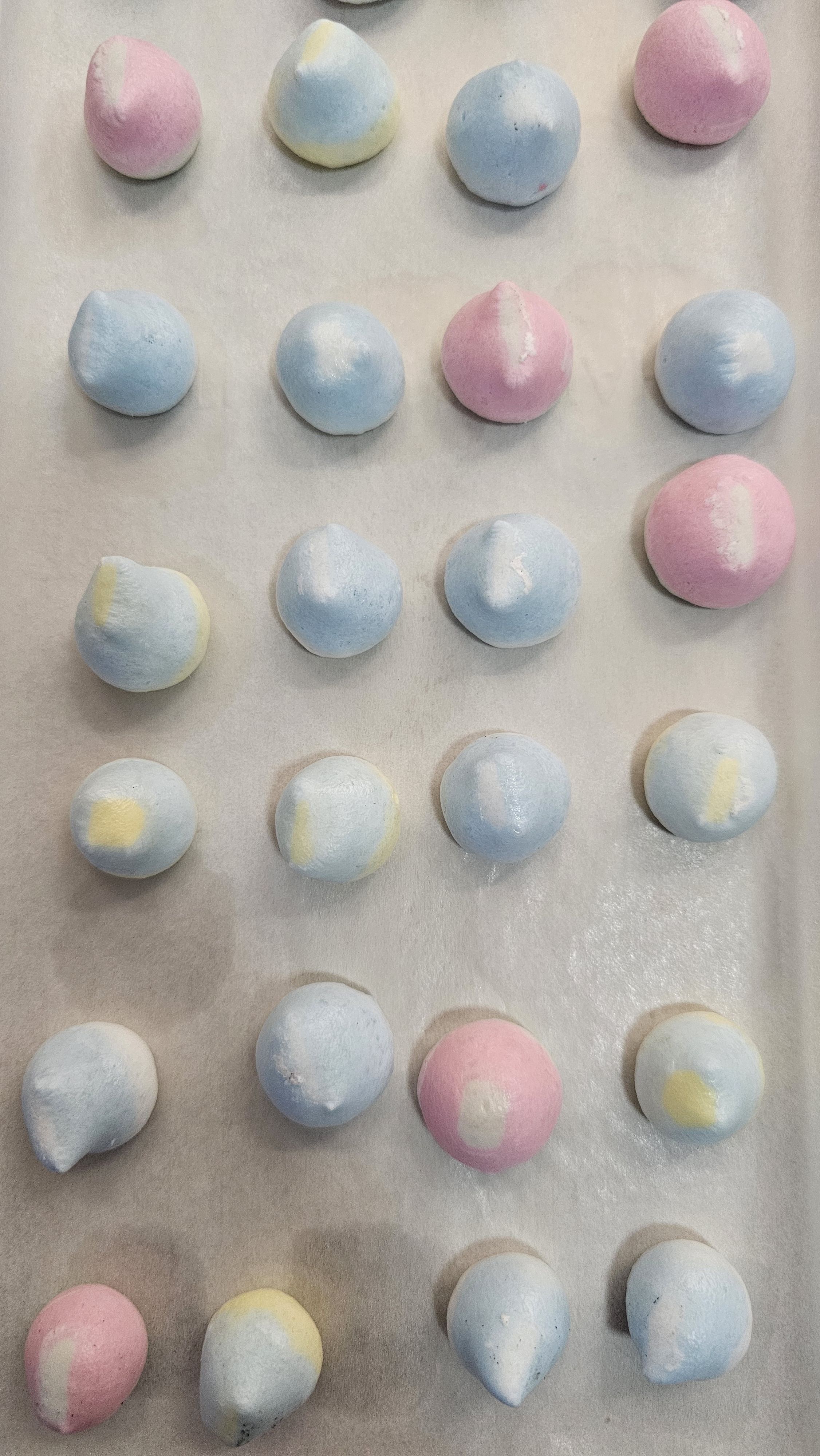 Freeze-Dried Hi-Chorbits
