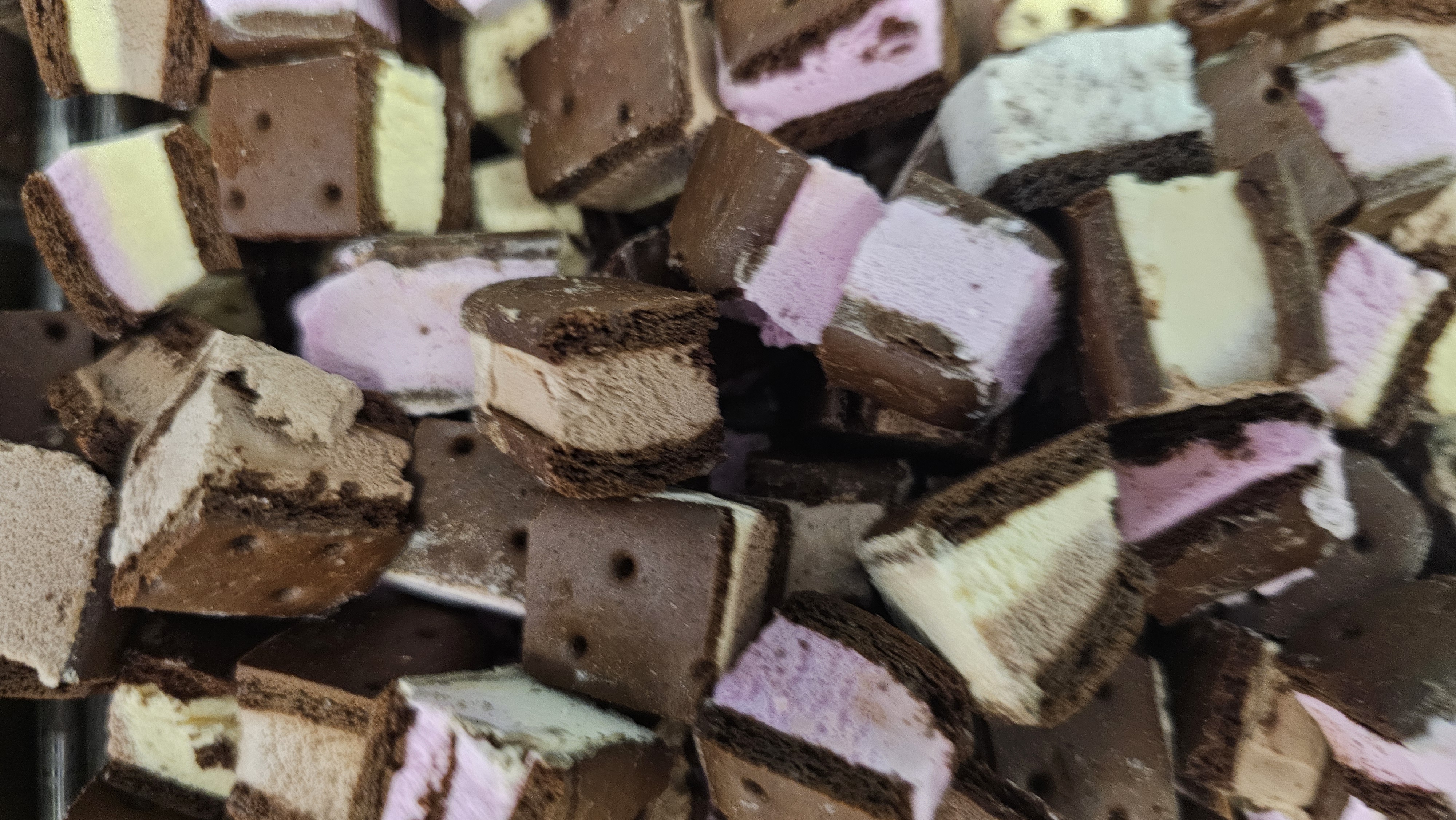 Freeze-Dried Ice Cream Sandwiches Neapolitan