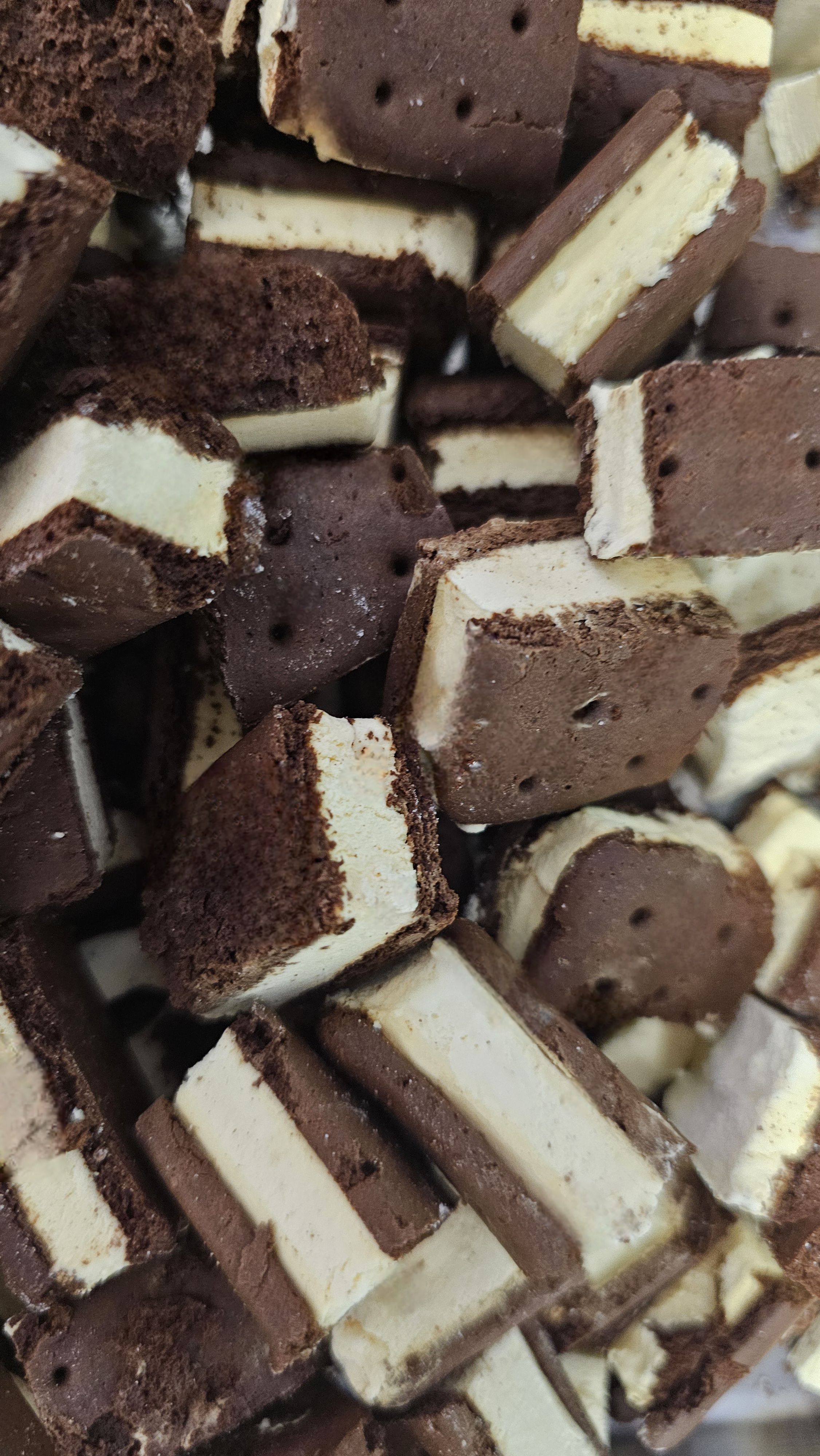 Freeze-Dried Ice Cream Sandwiches Vanilla