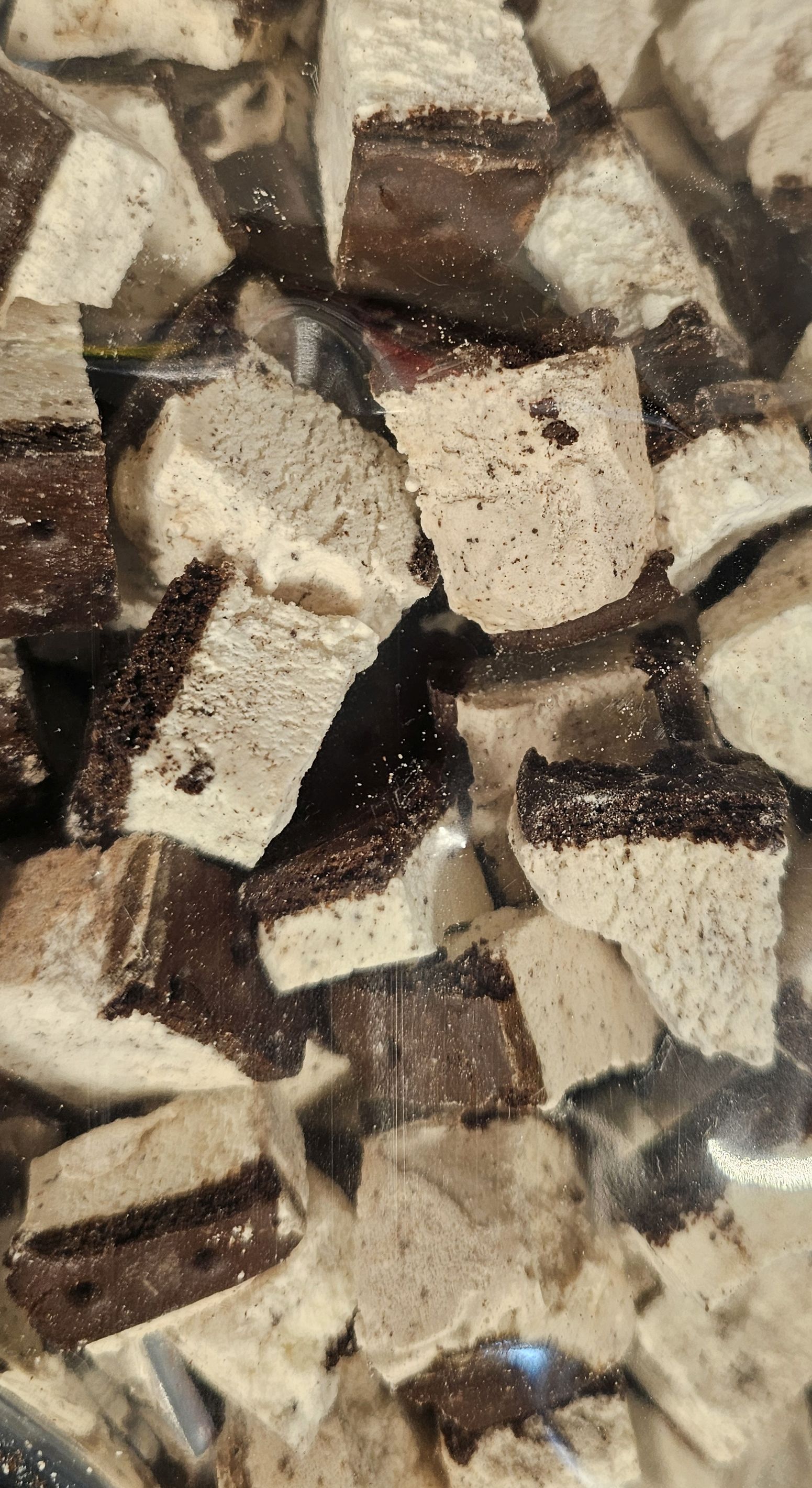 Freeze-Dried Ice Cream Sandwiches Cookies N' Cream