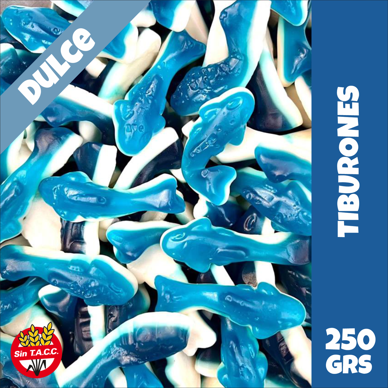 Tiburones Brillo Bicolor Docile