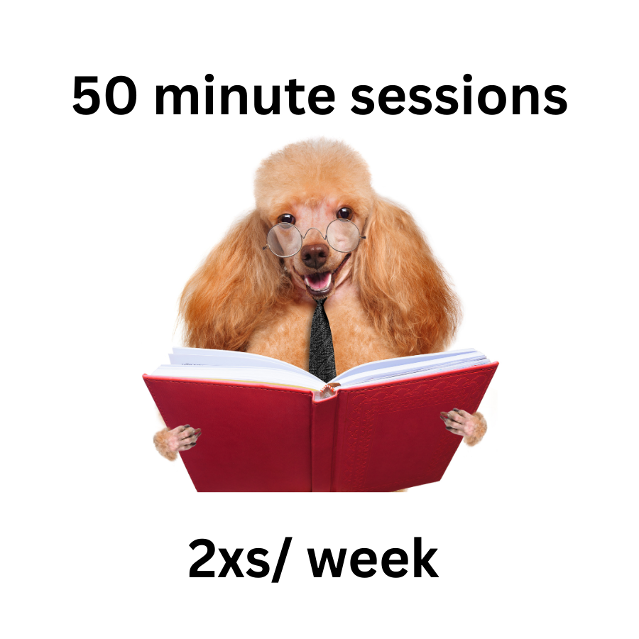 50 Minute Classes 2x/week