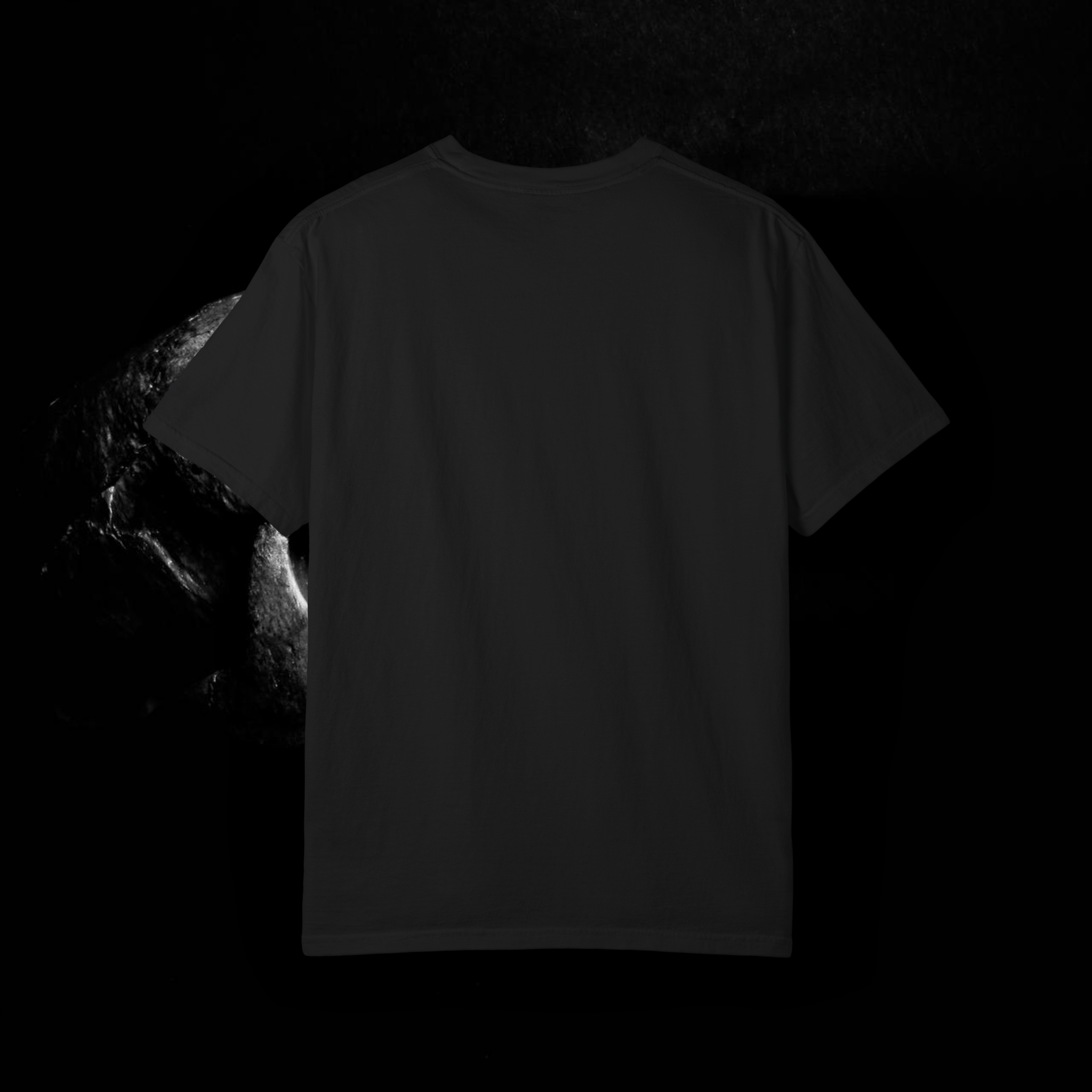 Morefein/Morphine Graphic T
