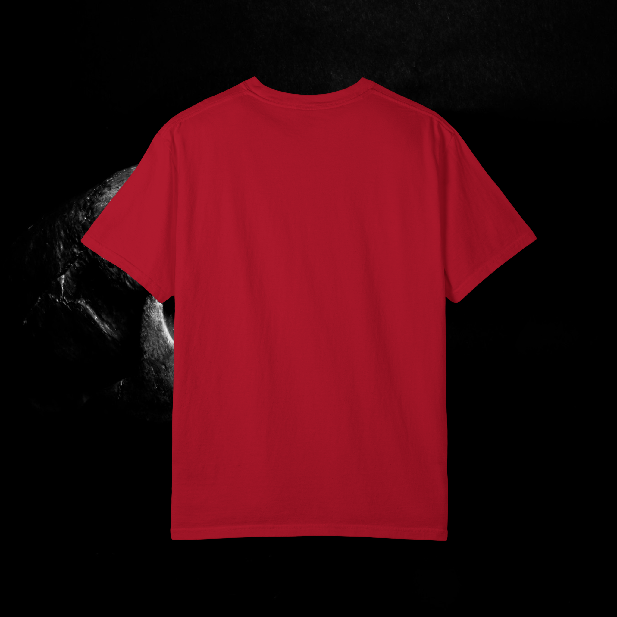 Momentum Graphic T