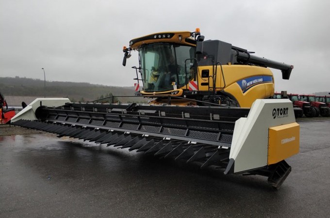 COUPE TOURNESOL - TORT