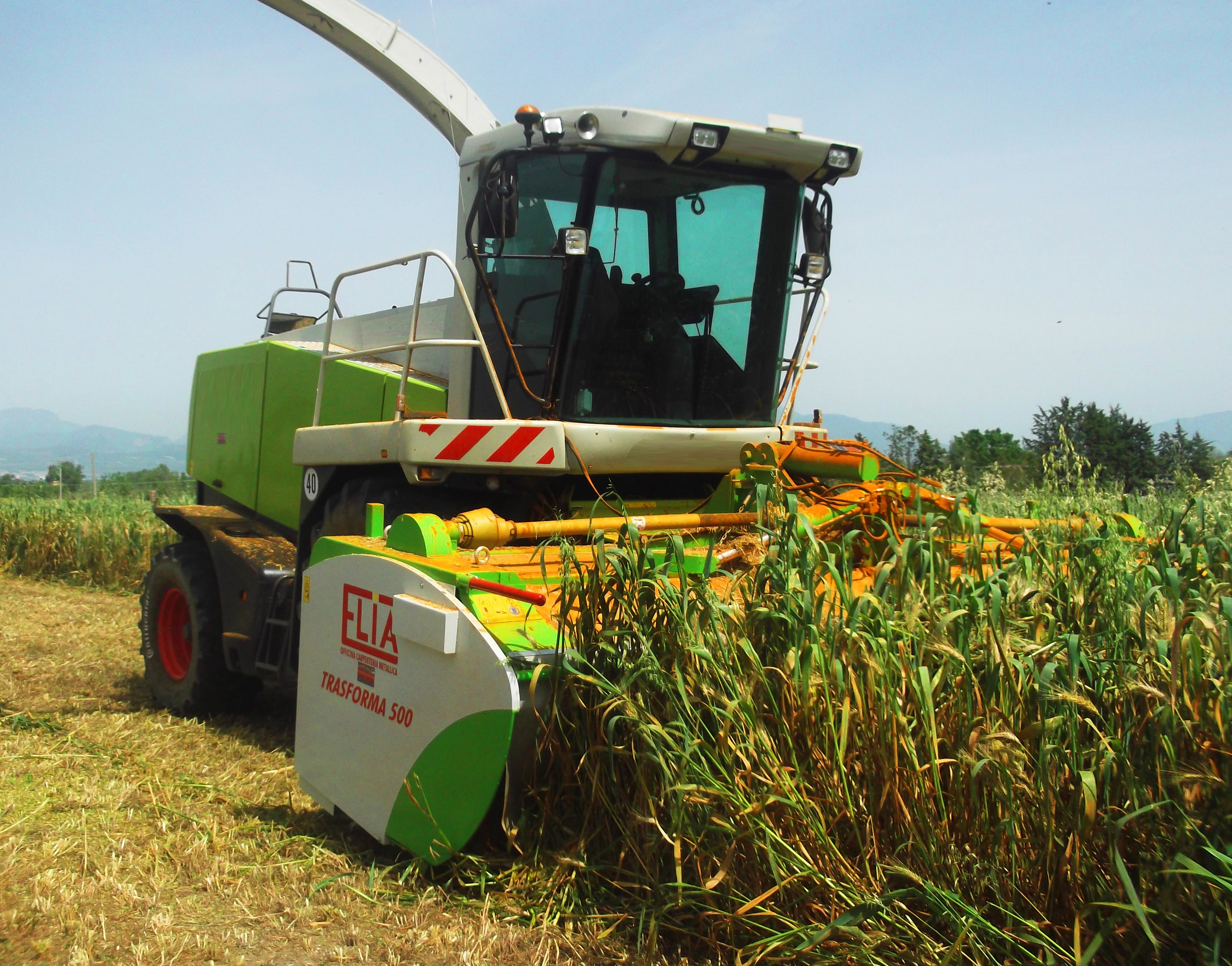 COUPE DIRECTE ELIA - FIXE ET REPLIABLE