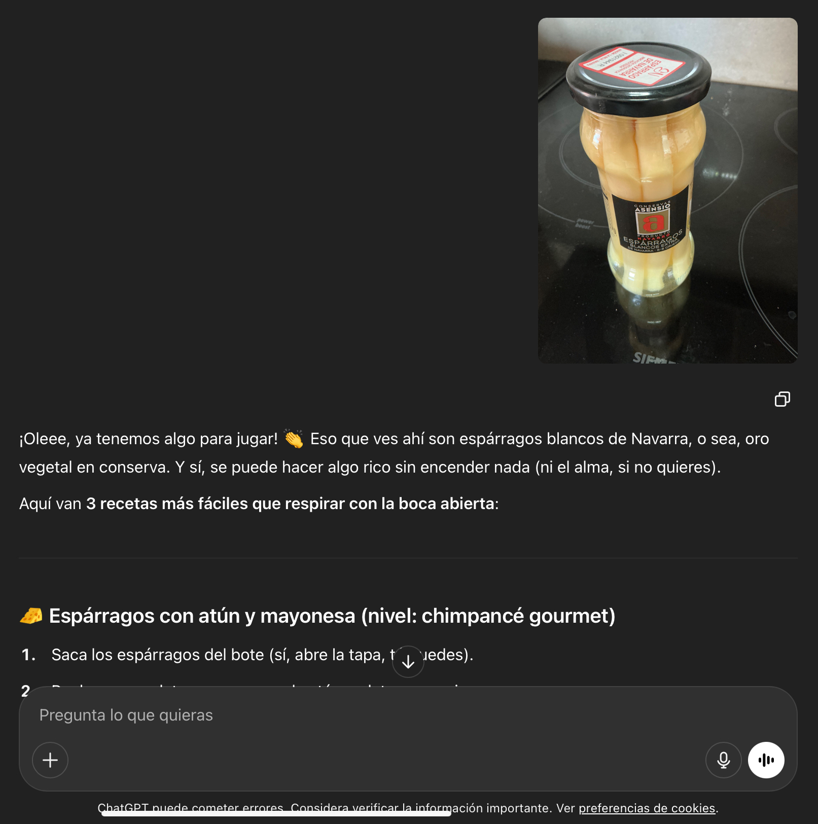 Cocinero Vago Mediterráneo GPT